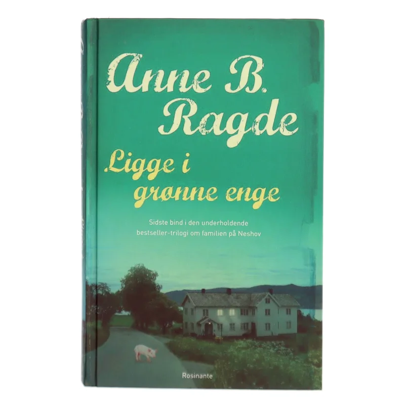 Ligge i grønne enge : roman af Anne B. Ragde (Bog)