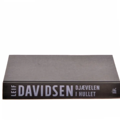 Djævelen i hullet af Leif Davidsen (Bog)