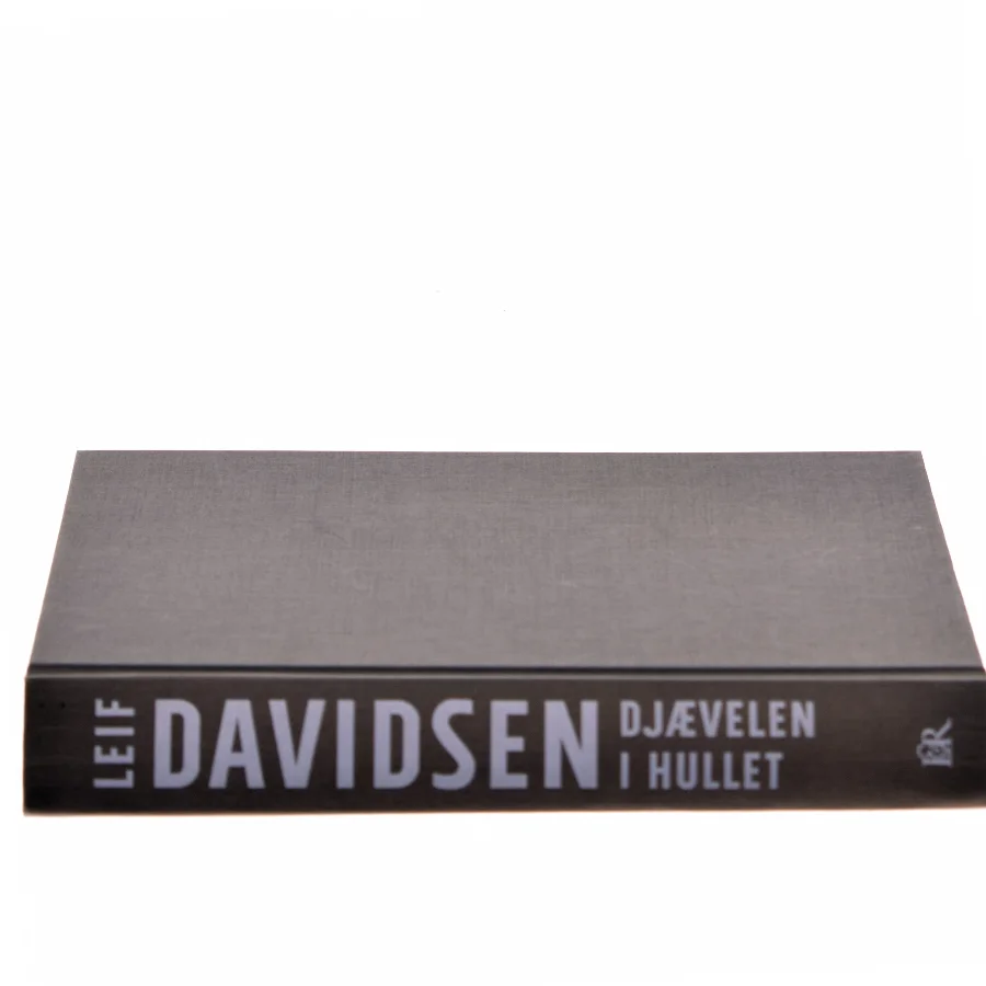 Djævelen i hullet af Leif Davidsen (Bog)