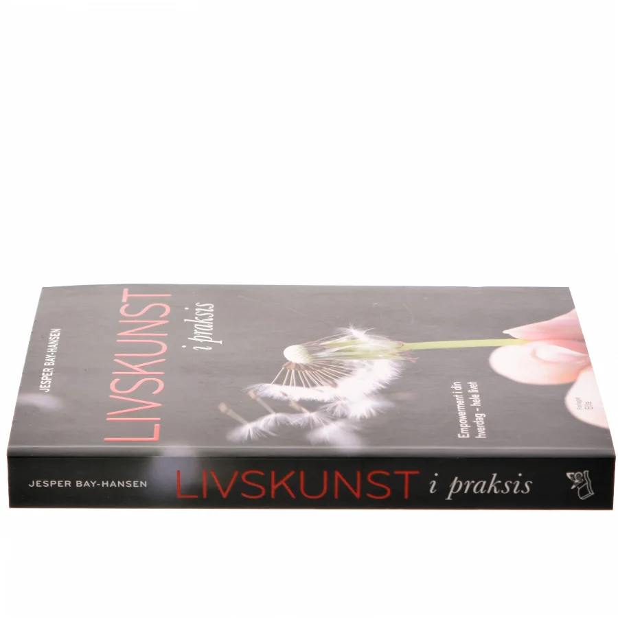 Livskunst i praksis : empowerment i din hverdag - hele livet af Jesper Bay-Hansen (Bog)