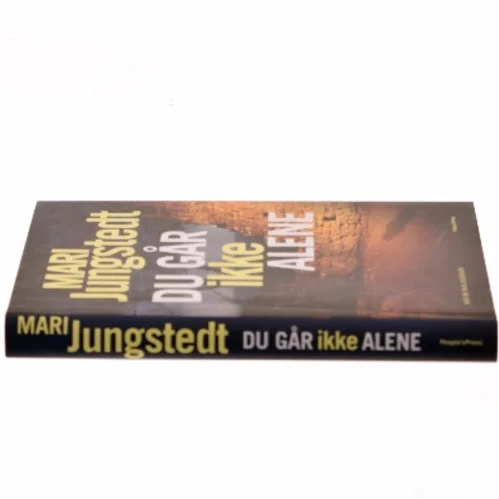 Du går ikke alene : kriminalroman af Mari Jungstedt (Bog)
