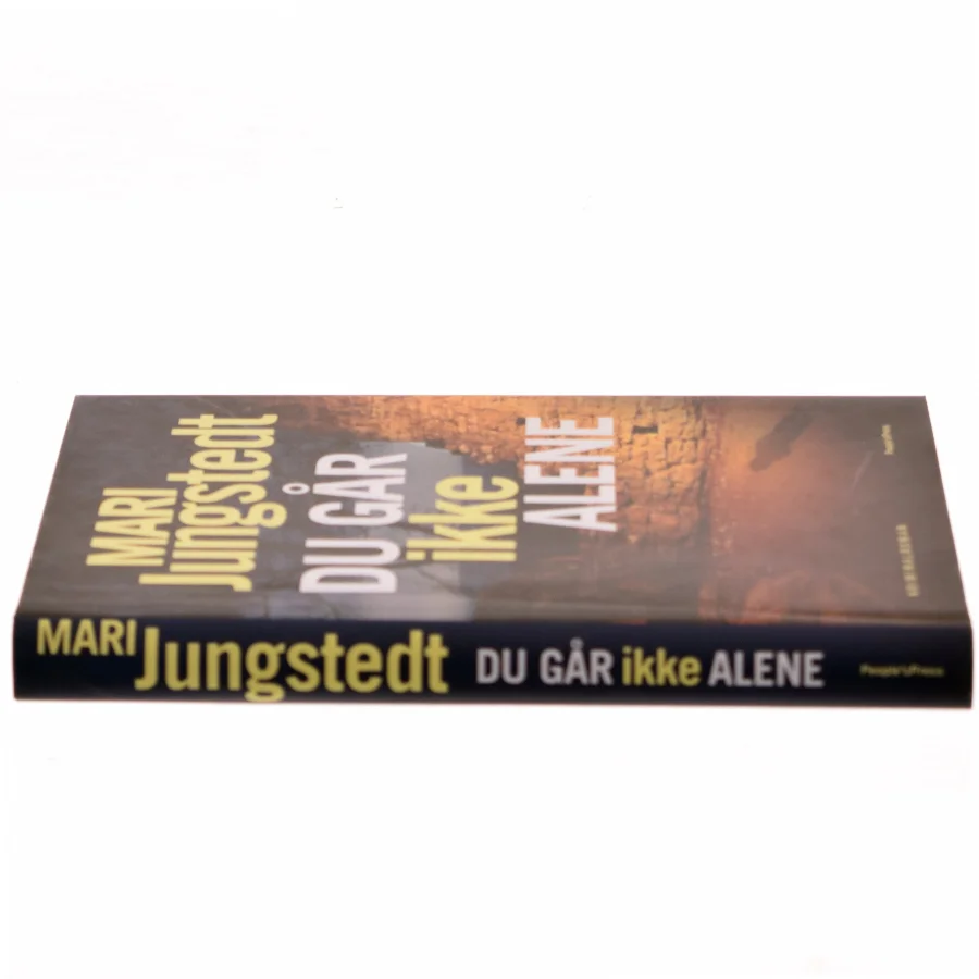 Du går ikke alene : kriminalroman af Mari Jungstedt (Bog)