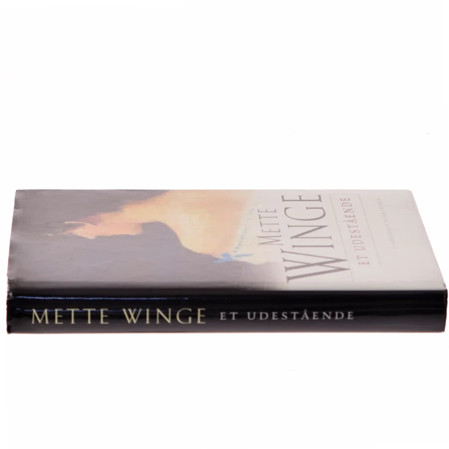 Et udestående af Mette Winge (Bog)