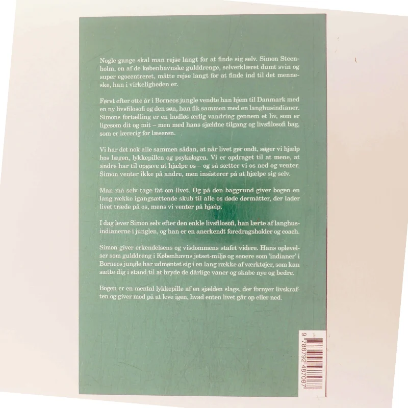 Gulddrengen & indianeren af Simon Steenholm (Bog)