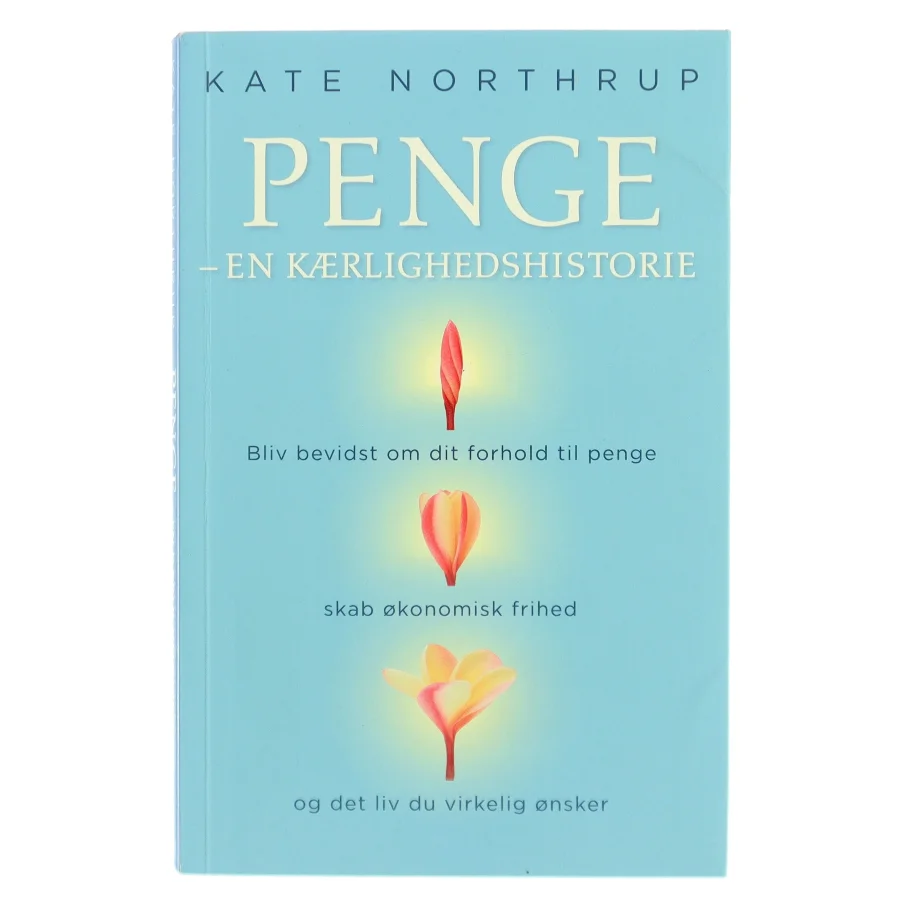 Penge : en kærlighedshistorie af Kate Northrup (Bog)