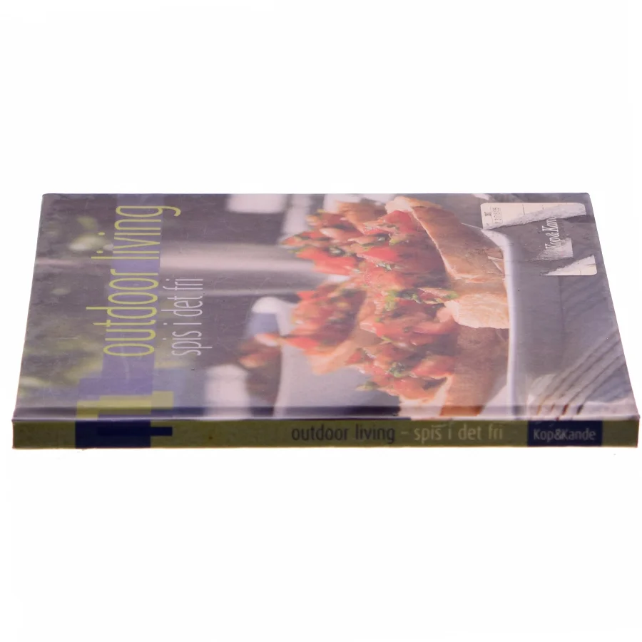 Outdoor living - spis i det fri : småretter, hovedretter, desserter, brød og tilbehør af Sandra Leigh Draznin (Bog)