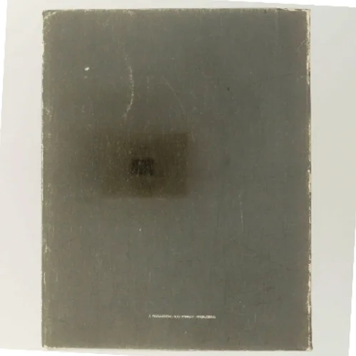 Newton's Night af Birkmose (Bog)