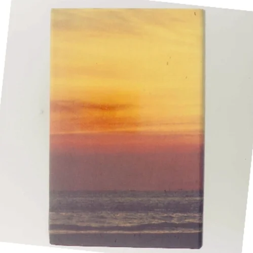 Palm Beach af Pat Booth (Bog)