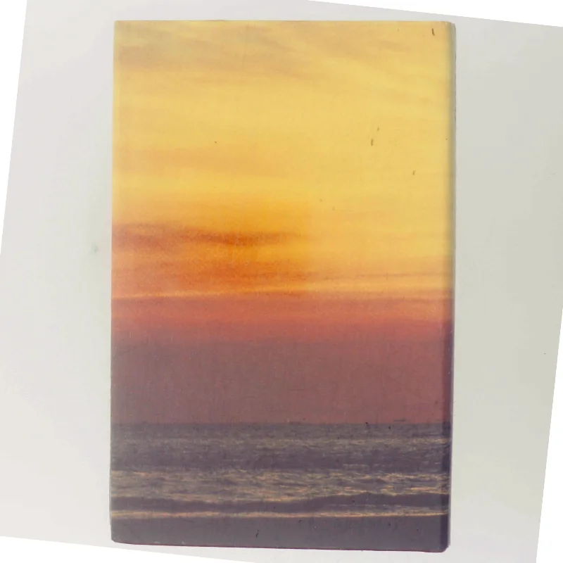 Palm Beach af Pat Booth (Bog)