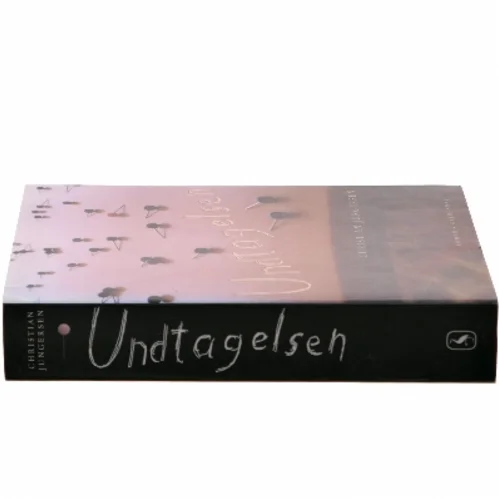 Undtagelsen af Christian Jungersen (Bog)