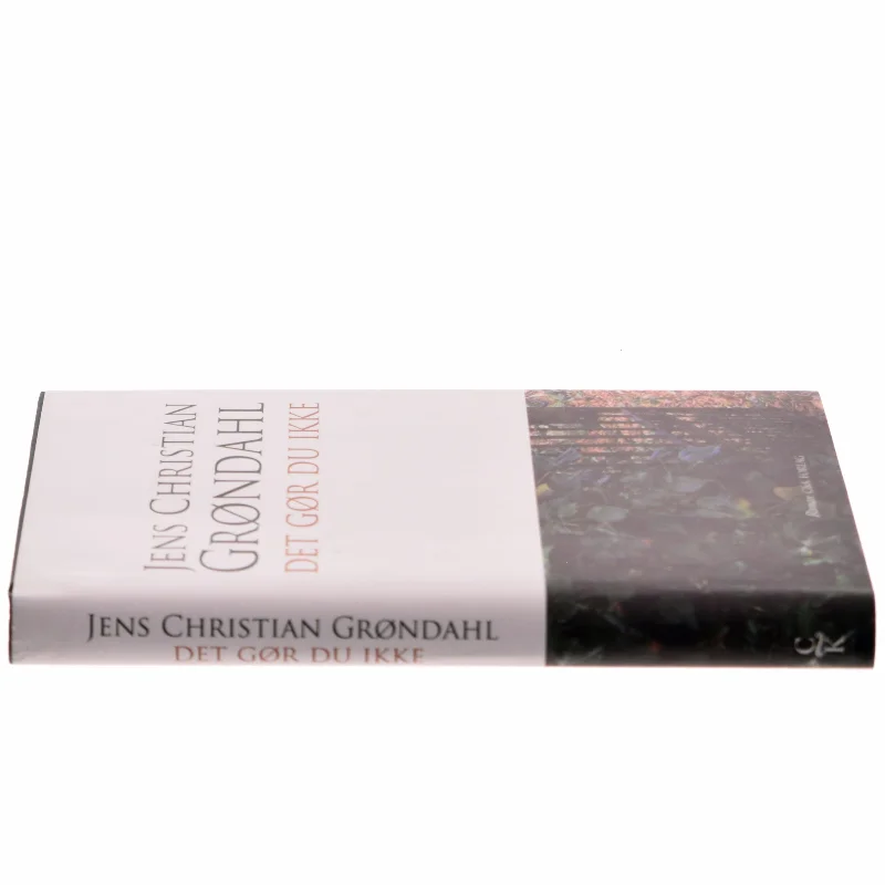 Det gør du ikke : roman af Jens Christian Grøndahl (Bog)