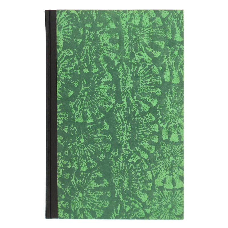 Den gamle mand og havet af Ernest Hemingway (Bog)