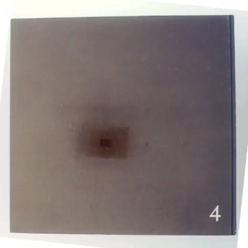 Herregårdsliv: Beretninger fra århundredskiftet (Bog)