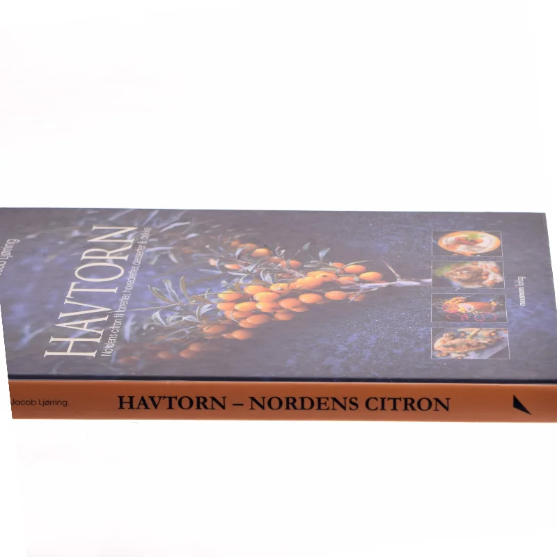 Havtorn : Nordens citron til forretter, hovedretter, desserter & drikke af Kim Gravenhorst (Bog)