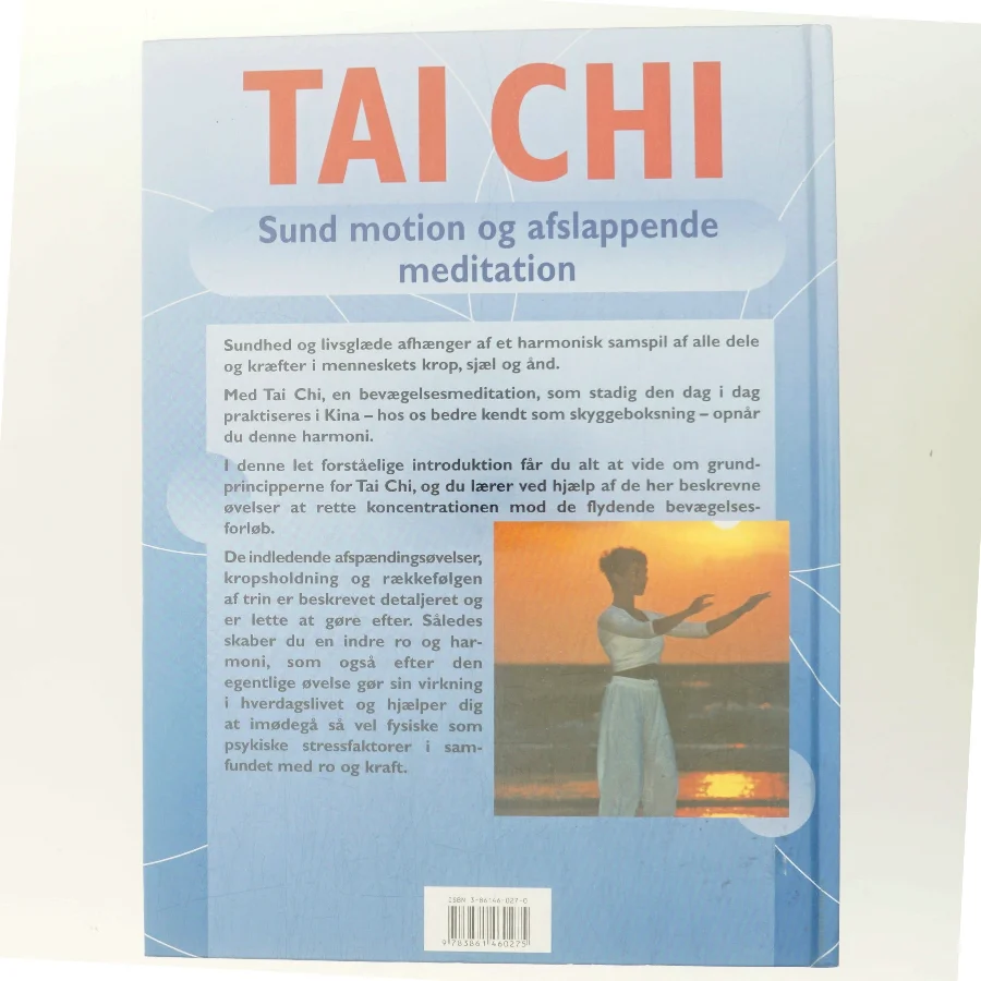 Tai Chi : sund motion og afslappende meditation af Thomas Methfessel (Bog)