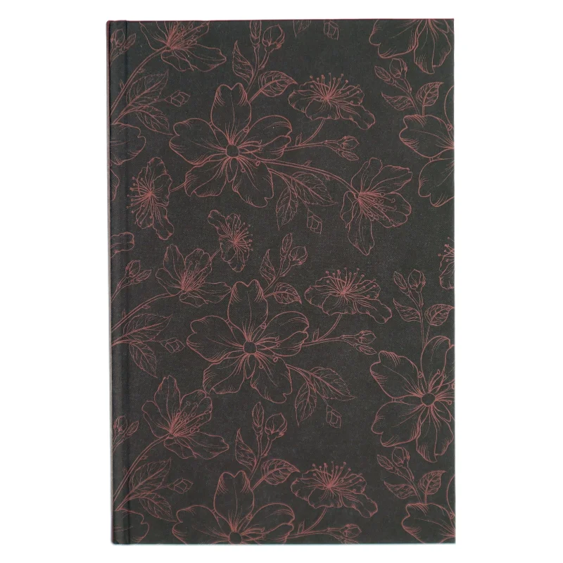 Bjergsted drømme, Bog