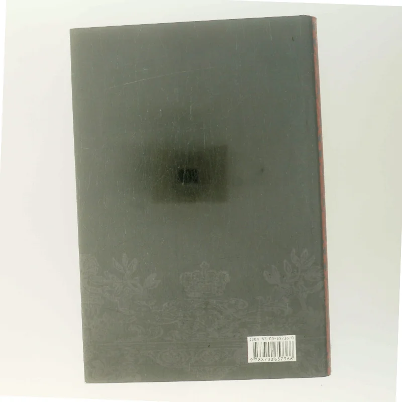 Jomfrudronningen af Susan Kay (Bog)