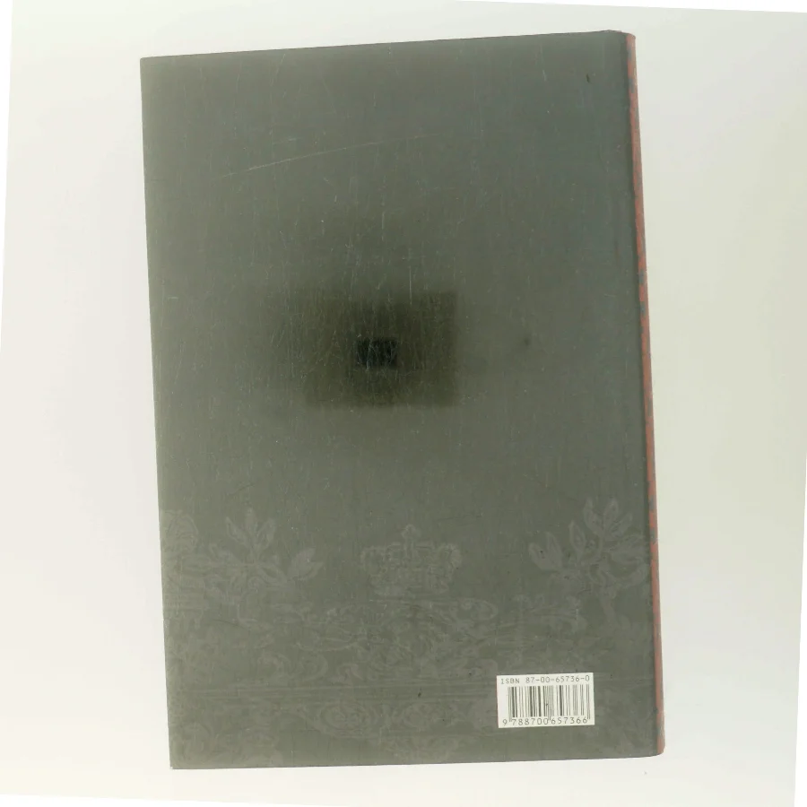 Jomfrudronningen af Susan Kay (Bog)