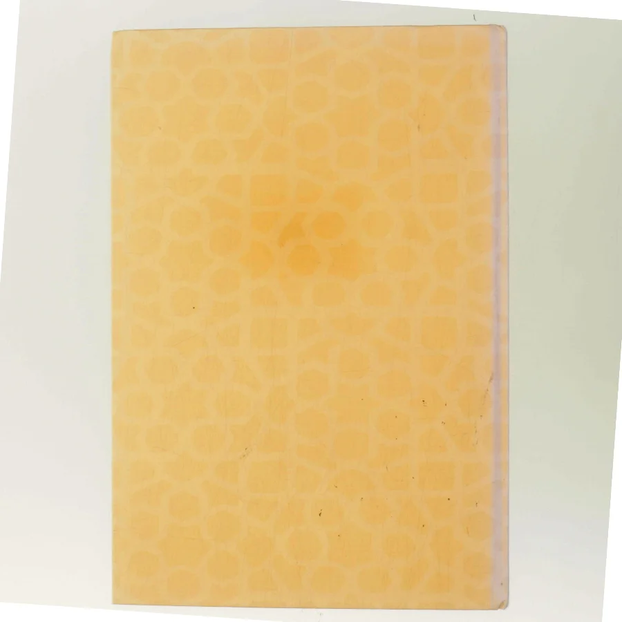 De forklædte piger fra Kabul af Jenny Nordberg (Bog)