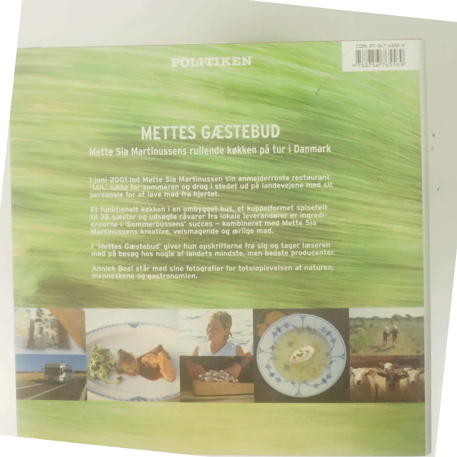 Mettes gæstebud (Bog)