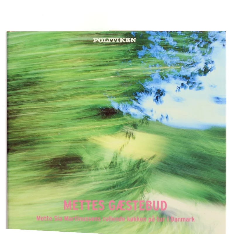 Mettes gæstebud (Bog)