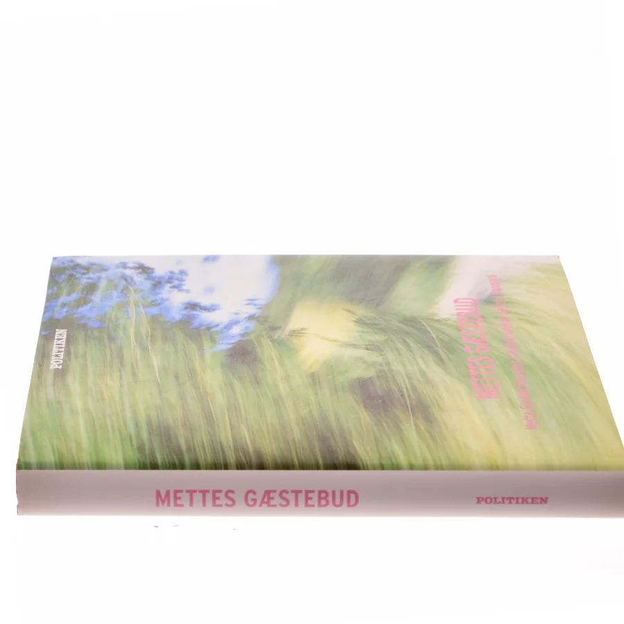 Mettes gæstebud (Bog)