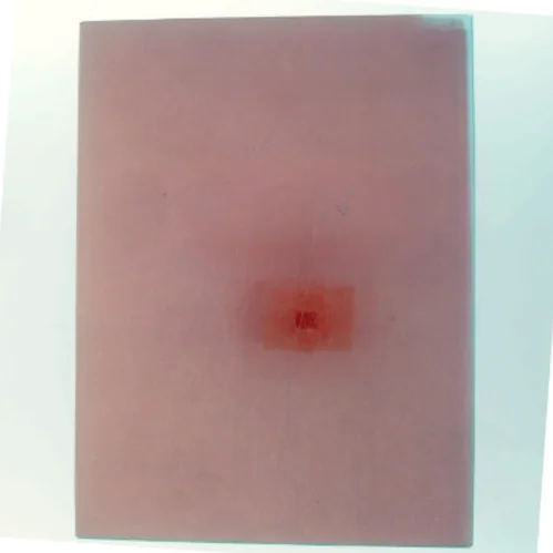 Lademanns Dyreleksikon (Bog)