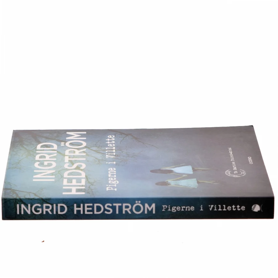 Pigerne i Villette af Ingrid Hedström (Bog)