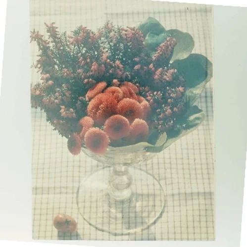 Pynt op med blomster af <Bogens forfattere> (Bog)