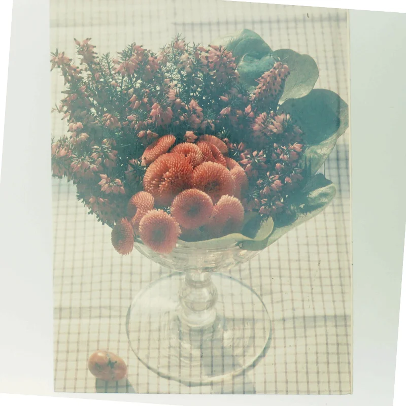 Pynt op med blomster af <Bogens forfattere> (Bog)