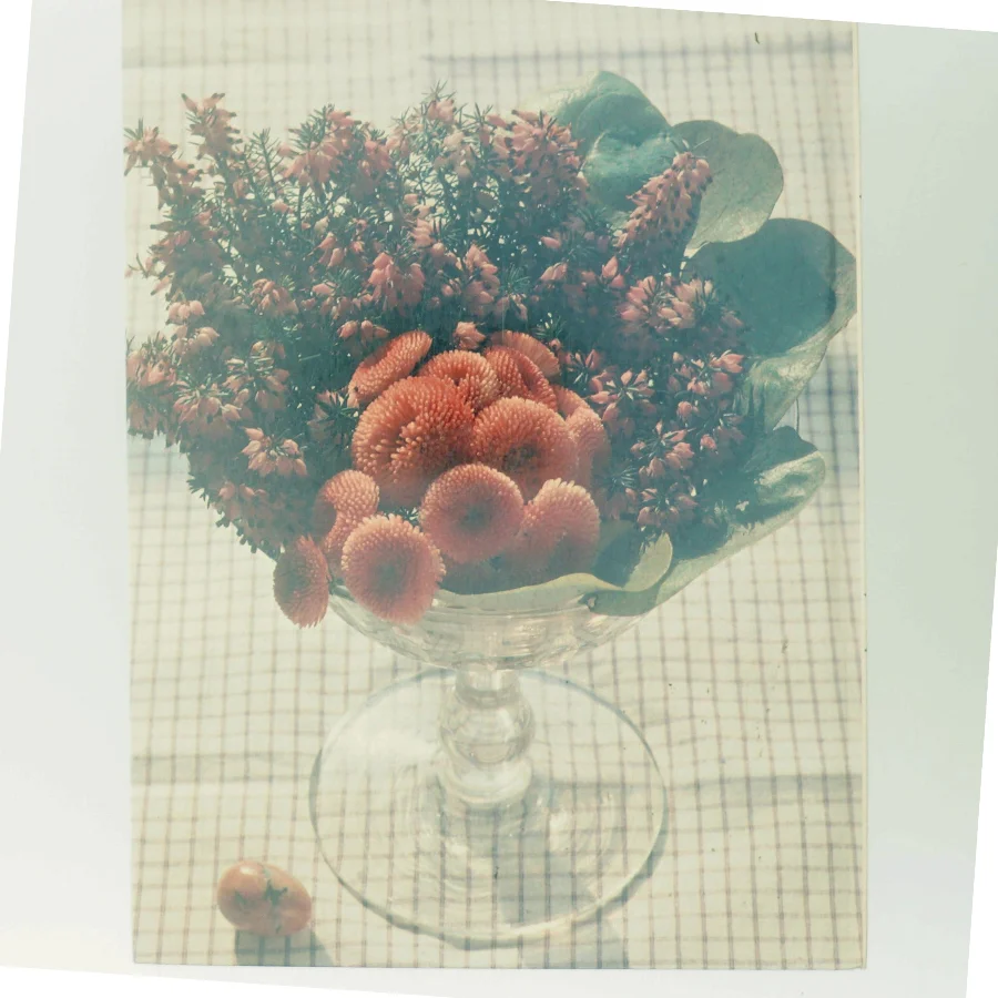 Pynt op med blomster af <Bogens forfattere> (Bog)