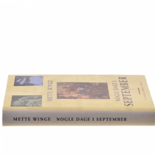 Nogle dage i september : en familieroman af Mette Winge (Bog)