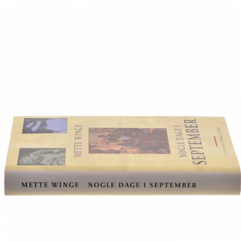 Nogle dage i september : en familieroman af Mette Winge (Bog)