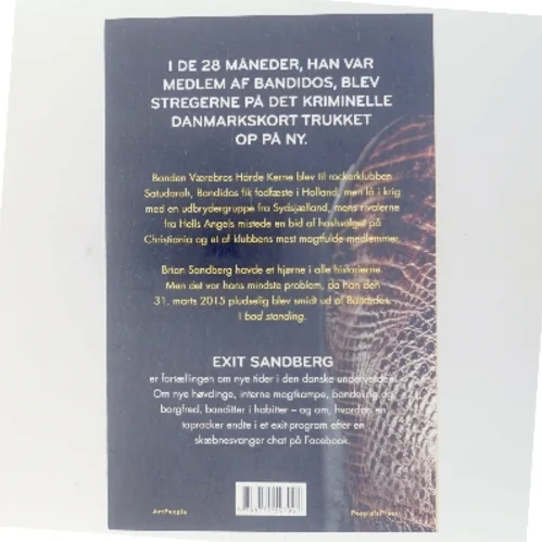 Exit Sandberg af Søren Baastrup (Bog)