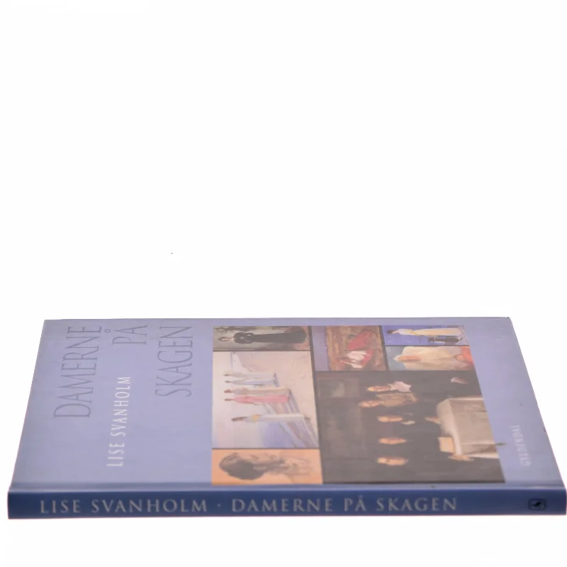 Damerne på Skagen af Lise Svanholm (Bog) fra Gyldendal
