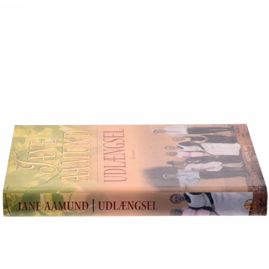 Udlængsel af Jane Aamund (Bog)