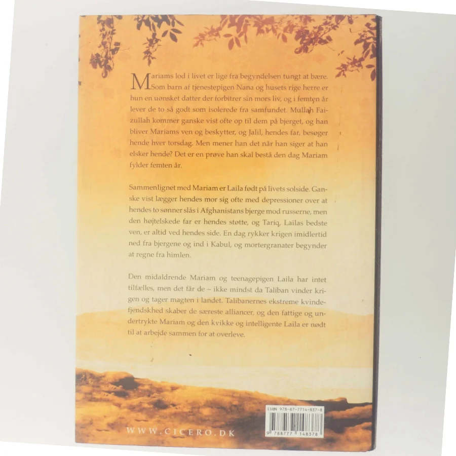 Under en strålende sol af Khaled Hosseini (Bog)
