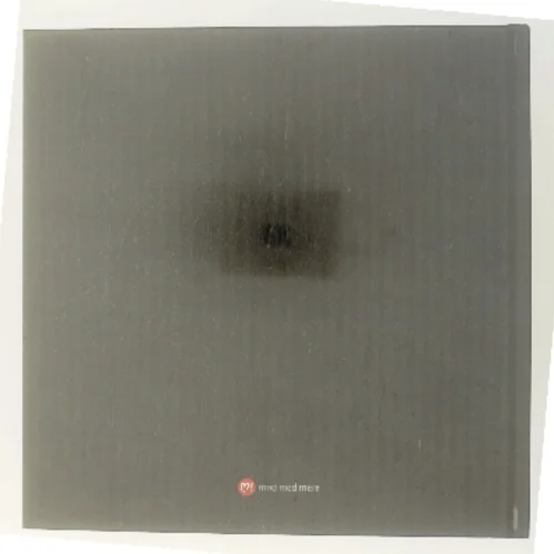 Lækkert kød, velbrygget øl og god tid (Bog)