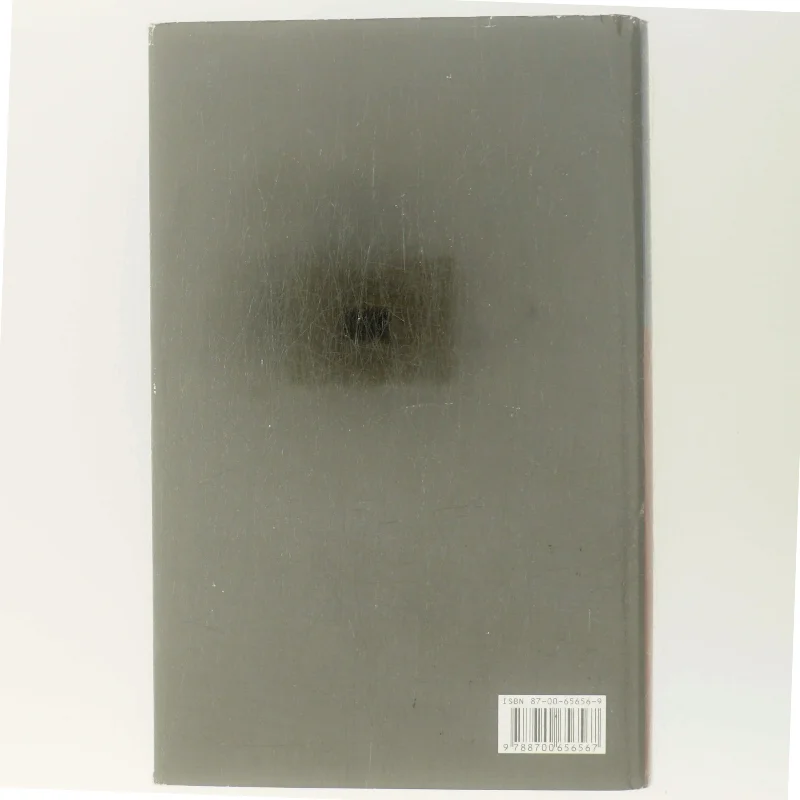 Inden frosten : kriminalroman af Henning Mankell (Bog)