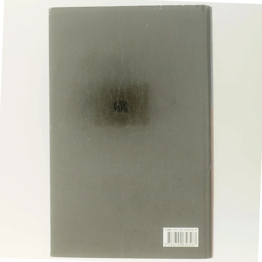 Inden frosten : kriminalroman af Henning Mankell (Bog)