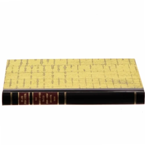 En kort vid tid var Hon Pesten af Else Fischer (Bog)