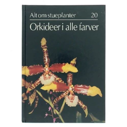 Orkideer i alle farver (Bog)