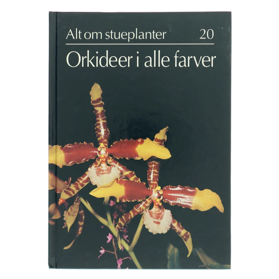 Orkideer i alle farver (Bog)
