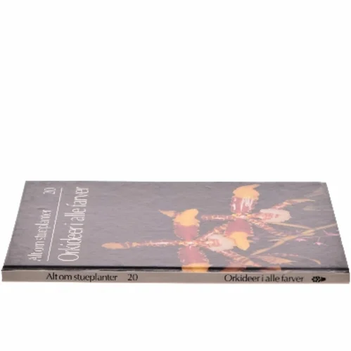 Orkideer i alle farver (Bog)