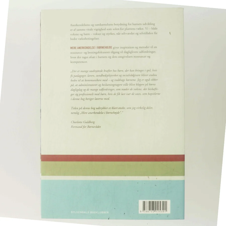Mere anerkendelse i børnehøjde (Bog)