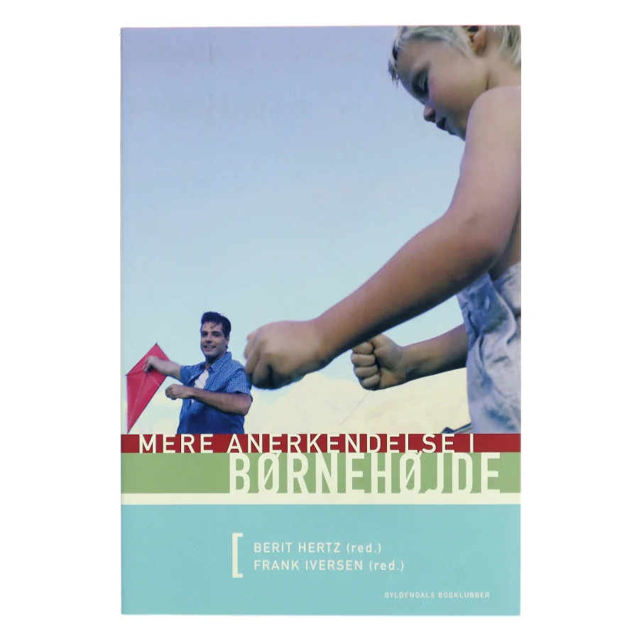 Mere anerkendelse i børnehøjde (Bog)