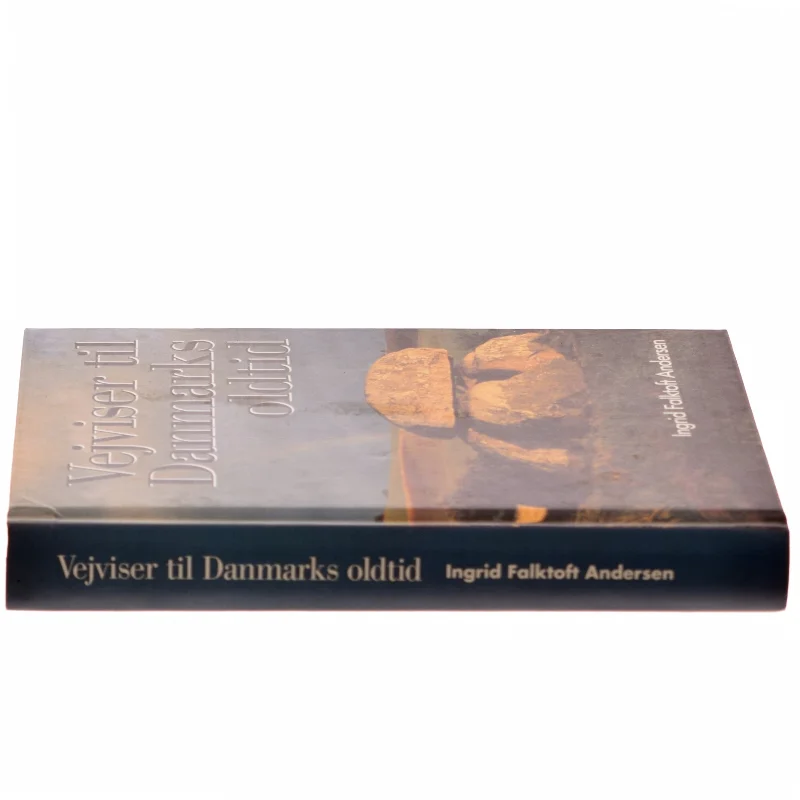 Vejviser til Danmarks oldtid af Ingrid Falktoft Andersen (Bog)