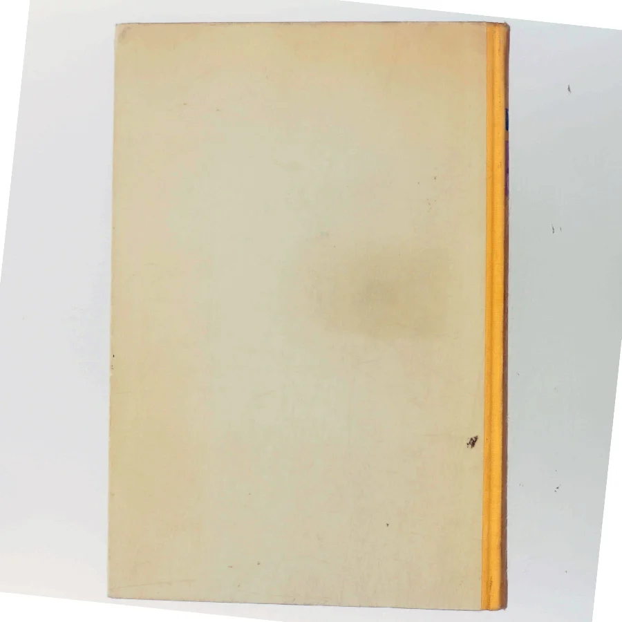 Verdensrummet og Vi af Paul Bergsøe (Bog)