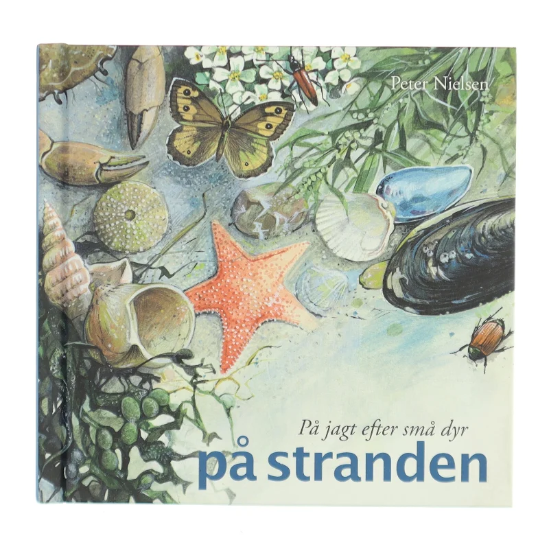 På jagt efter små dyr på stranden af Peter Nielsen (f. 1946-05-08) (Bog)