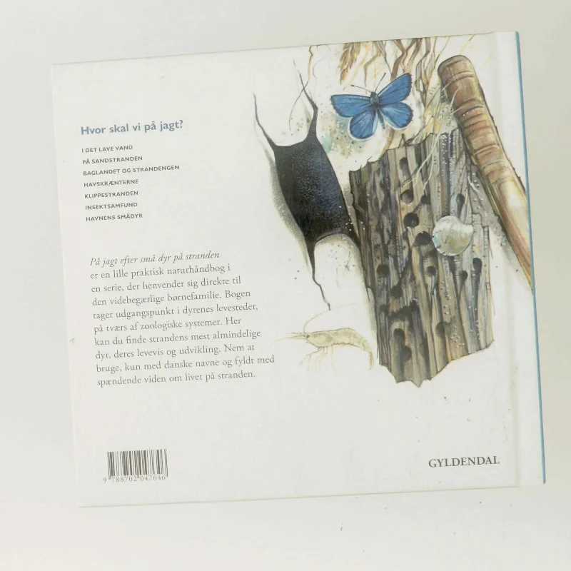 På jagt efter små dyr på stranden af Peter Nielsen (f. 1946-05-08) (Bog)